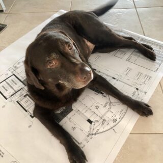 2021 is shaping up to be a busy year so we’ve hired another helper @braunbuilders